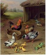 unknow artist poultry  147 France oil painting artist